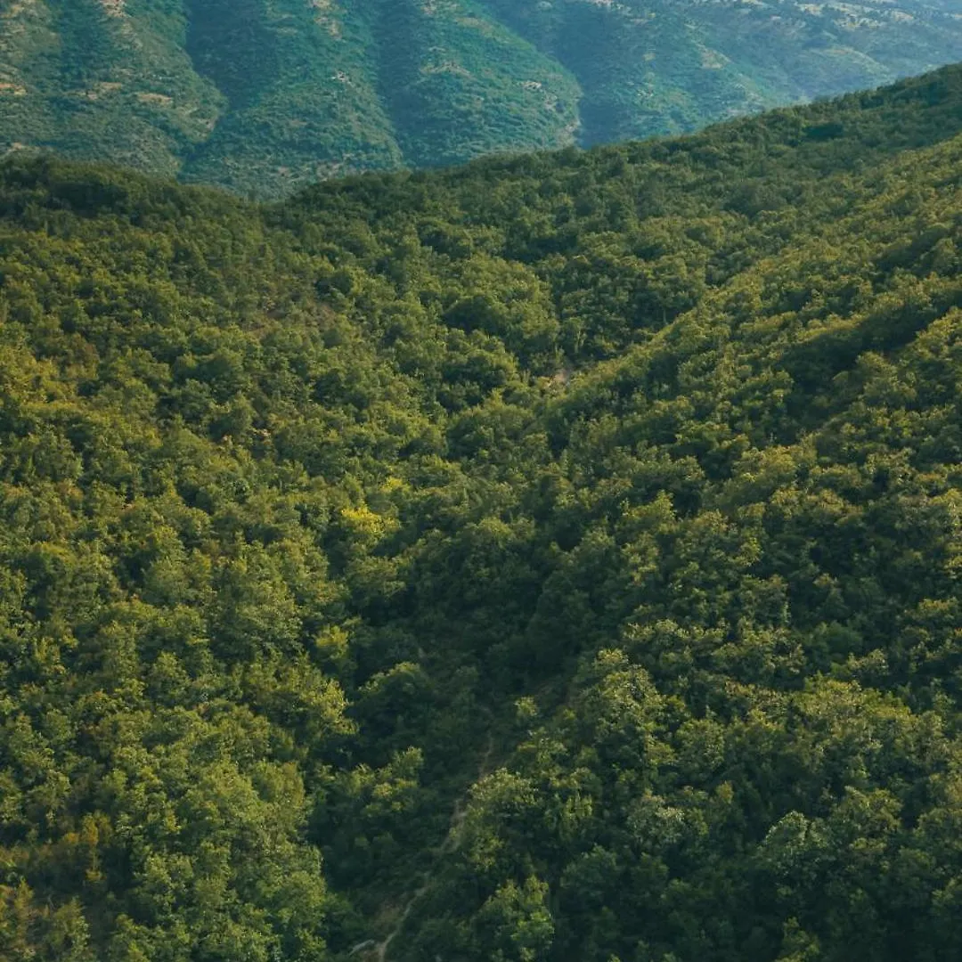 Guest house Traditional Guesthouse Permet Albania