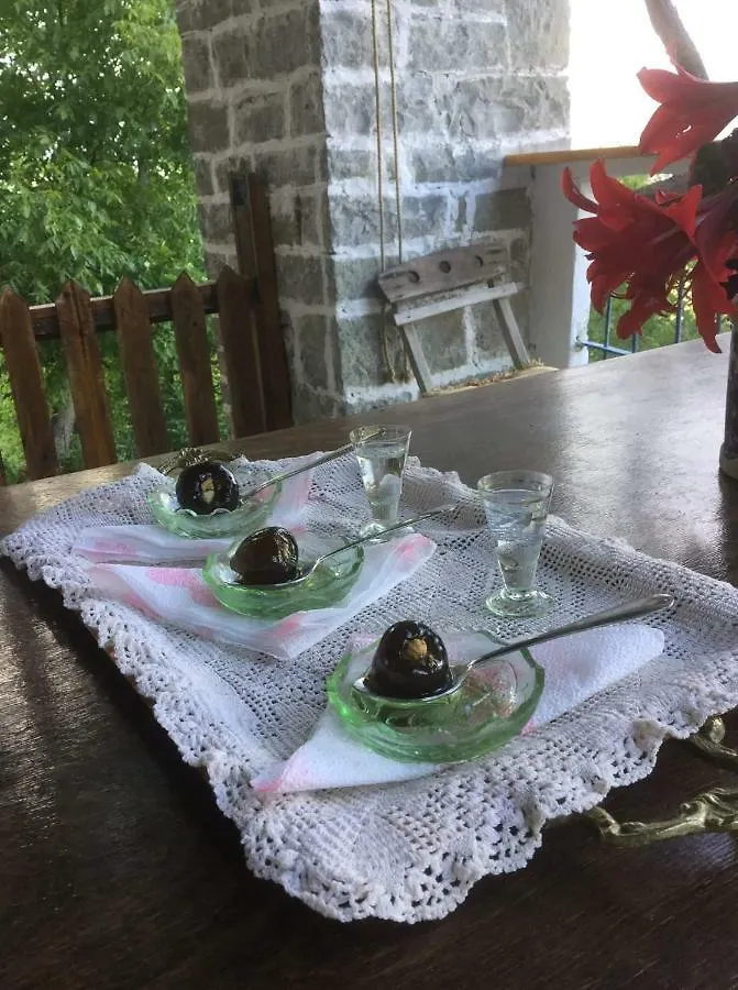 Traditional Guesthouse Permet 0*,